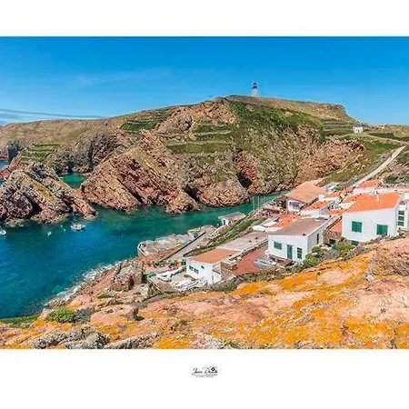 Residencia Maciel 페니케